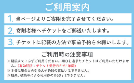 空き家 粗大ゴミ 片付け ハウスクリーニング チケット【3枚セット】1000円×3枚 計3,000円相当分 有限会社クリーンeco《30日以内に出荷予定(土日祝除く)》野木町での空き家片付け、遺品整理