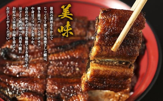 活 うなぎ 専門「美濃川」うなぎ蒲焼 2尾 と 自家製 うなぎのしぐれ煮 100gのセット ｜国産 鰻 かば焼き しぐれ しぐれ煮 たれ 山椒 わさび 付き セット 冷凍 小分け M24S22