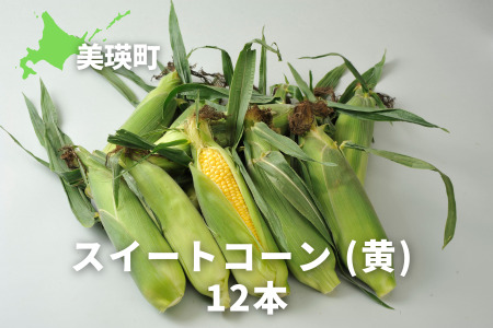 【先行予約】とうもろこし スイートコーン 黄 12本 北海道とうもろこし