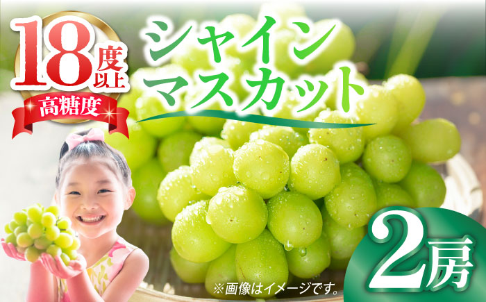 【2025年9月中旬〜発送】【数量限定】【口の中であふれる果汁】大粒 シャインマスカット 2房 1.4kg以上 / ぶどう ブドウ フルーツ 果物 / 南島原市 / 川田果樹園 [SFN001]