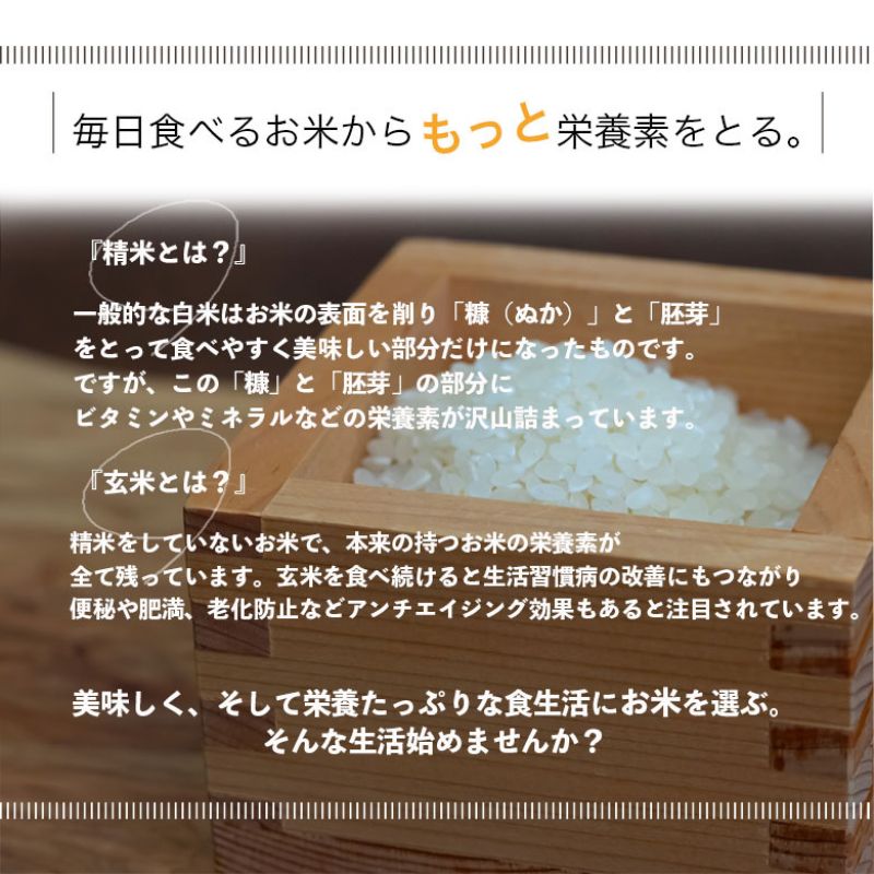 【選べる精米率】新米 令和7年産 三重県産 コシヒカリ 5kg［白米 玄米 5分つき米 7分つき米]　白米