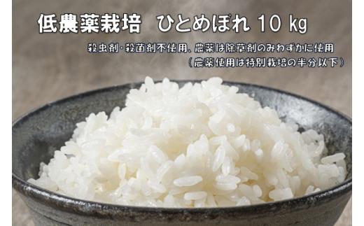 【新米先行予約】令和7年産 新米 低農薬栽培米 ひとめぼれ 10kg【精米】