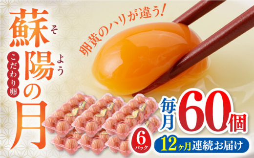 
【全12回定期便】蘇陽の月 60個入り ( 10個入り × 6パック ) 熊本県産 山都町 たまご 卵 玉子 タマゴ 鶏卵 オムレツ 卵かけご飯 朝食 料理 人気 卵焼き【蘇陽農場】[YBE024]
