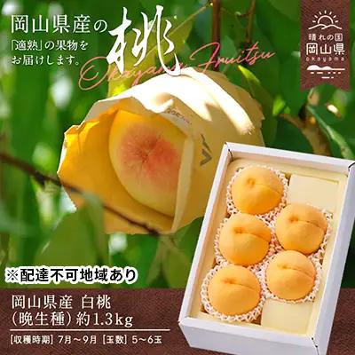 桃 2026年 先行予約 白桃 晩生種 約1.3kg 5～6玉 岡山県産 桃