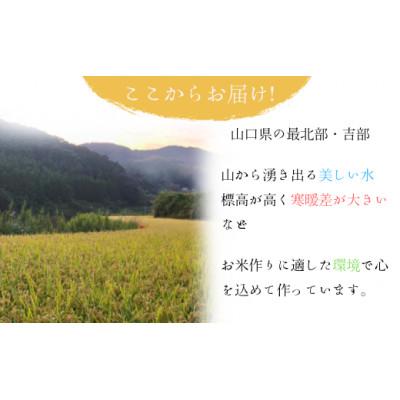 ふるさと納税 宇部市 【令和7年産】石田さんのお米 馳せ米 10kg |  | 02