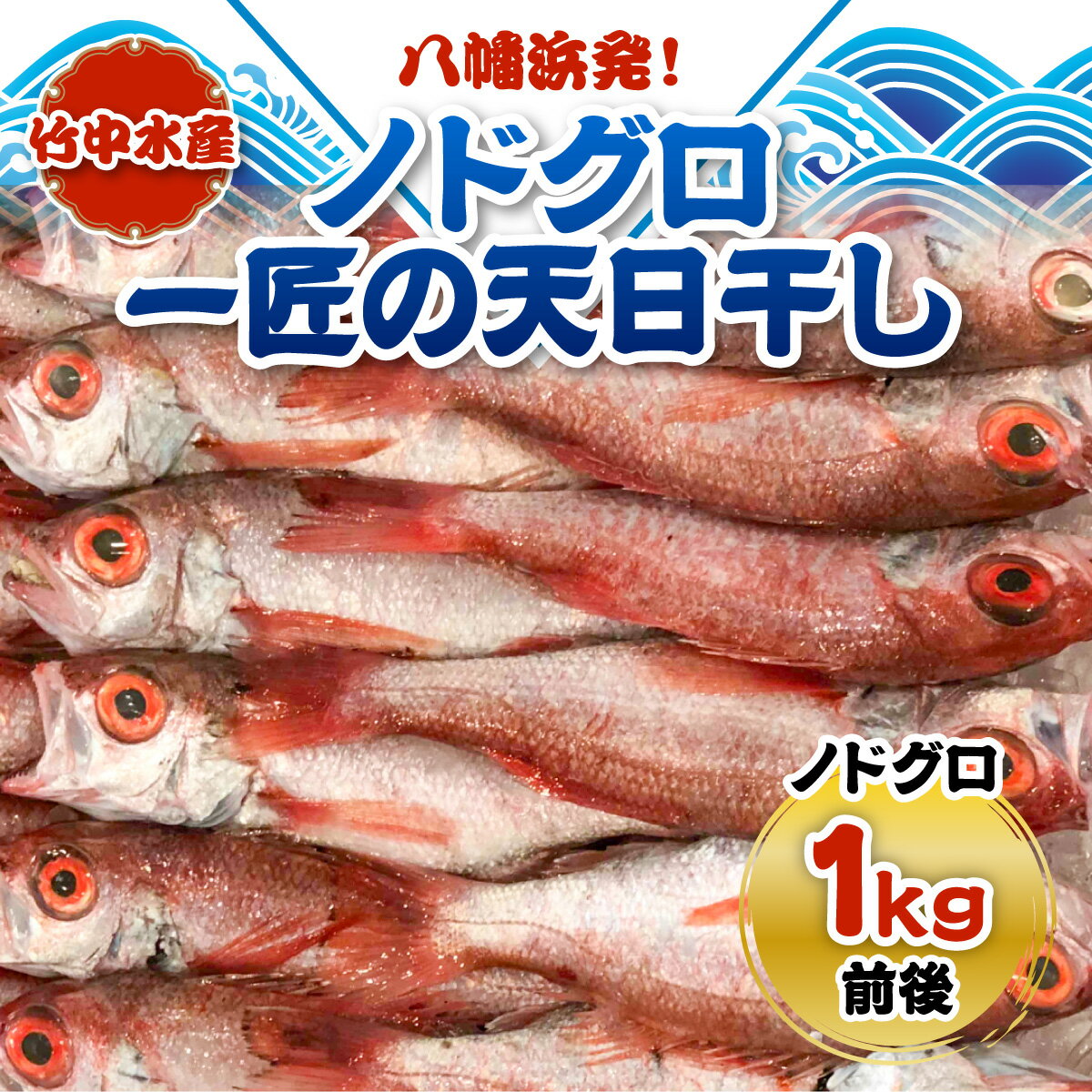 【ふるさと納税】八幡浜発! 竹中水産の「ノドグロー匠の天日干し」1kg前後【H22-218】_【配送不可地域：離島】【1045483】YWTM036