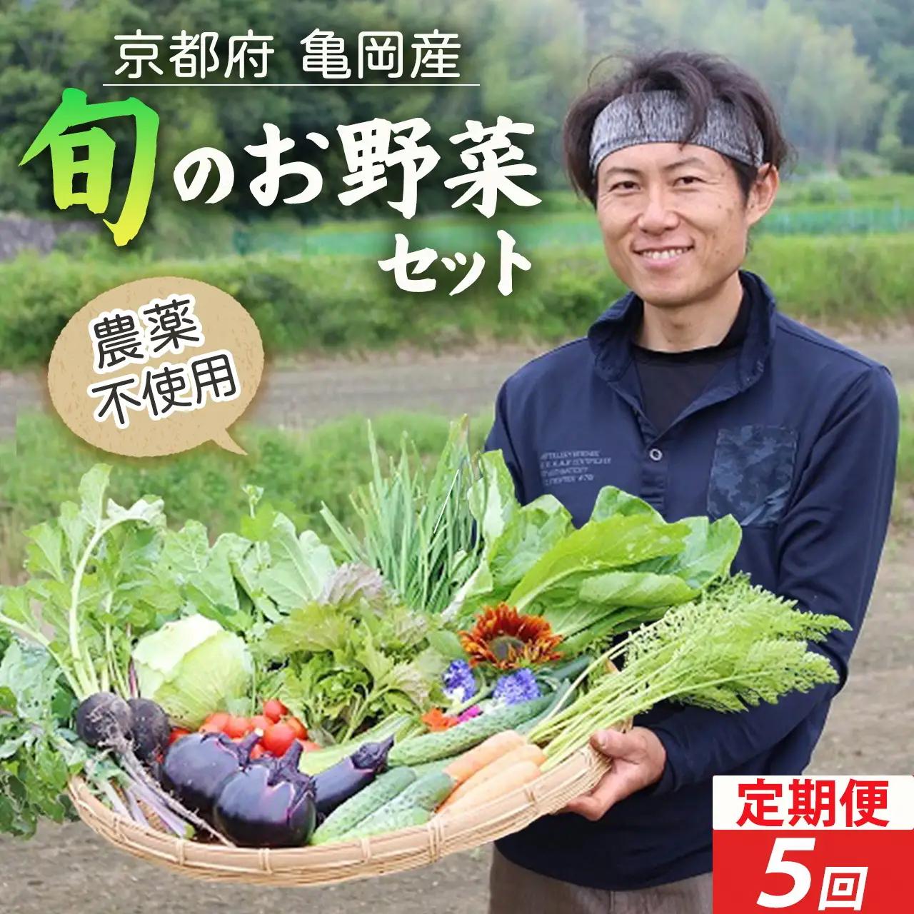 【5回定期便】お野菜セット かたもとオーガニックファーム 野菜