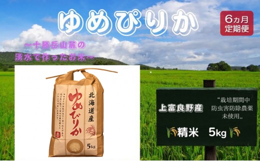 
                  北海道 上富良野産「 ゆめぴりか 」特別栽培 白米 5kg（令和7年産）【定期便 全6回】 お米 日用品 ライス ご飯 食べ物 ストック 常備品 北海道産 おにぎり お弁当
                