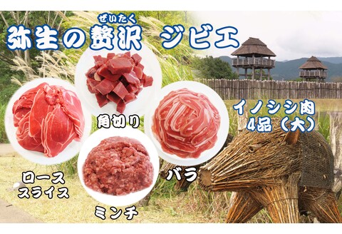 脊振ジビエ イノシシ肉(ロース バラ 角切り ミンチ)4品詰合せ1.4kg 【佐賀 佐賀県産 猪 ロース バラ 焼肉 しゃぶしゃぶ 鍋物】(H072121)