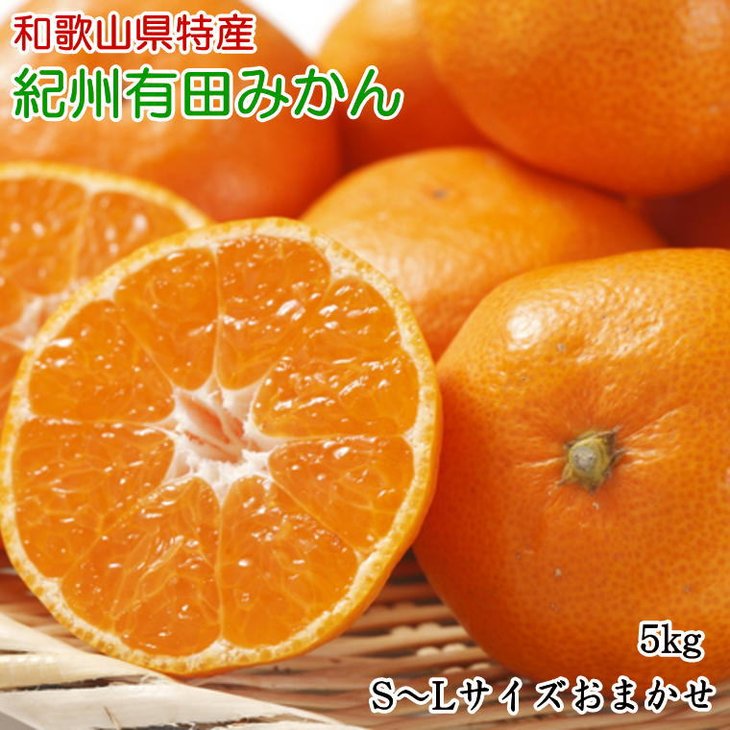 【ふるさと納税】【2026年先行予約】【厳選】紀州 有田みかん 5kg (S～Lサイズおまかせ・秀品)【数量限定】【ミカン 蜜柑 柑橘 温州みかん 有田みかん】