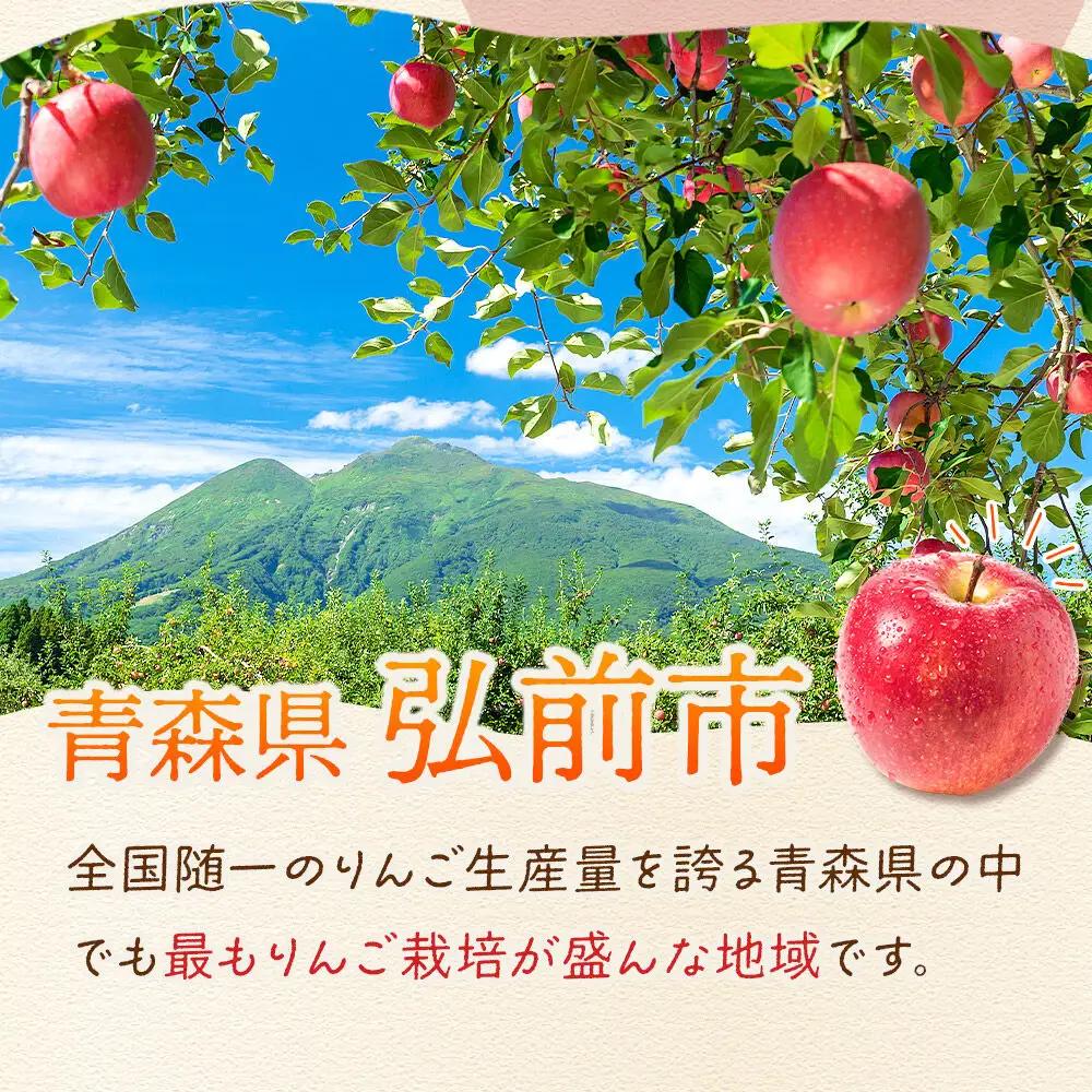 【27年1月～発送】りんご 葉とらずサンふじ【特選】約3kg 8～12玉程度【糖度13度以上】津軽農園 先行受付 青森県 弘前市 果物 フルーツ 林檎 リンゴ くだもの ギフト 贈り物