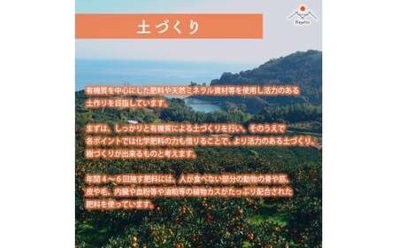 O-92 オリジナルジュース２種４本セット