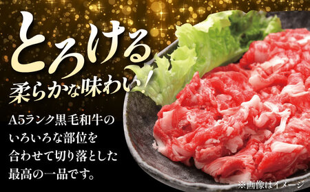 【全12回定期便】国産和牛切落し 600ｇ　大阪府高槻市/株式会社ミートモリタ屋[AOAI025]