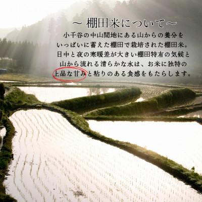 ふるさと納税 小千谷市 令和7年産 魚沼産コシヒカリ 棚田米 精米5kg(5kg×1袋) |  | 01