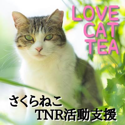 ふるさと納税 静岡市 さくらねこ支援　静岡県産茶ティーバッグ【静岡茶・ほうじ茶・和紅茶・玉露・玄米茶】計54ティーバッグ |  | 02