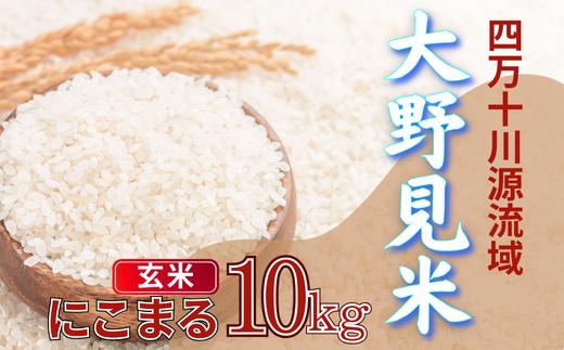 〈 新米予約 〉 大野見米 にこまる 10kg ( 玄米 ) ご飯 米 お米 にこまる 四万十 高知産