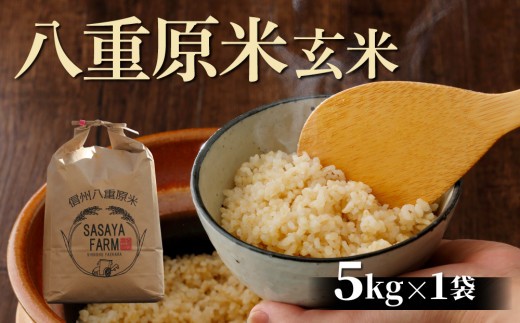 令和8年新米予約！八重原米5kg（5kg×1袋）玄米 ※2026年10月以降順次発送｜笹屋農園「農薬削減長野県認証取得」特A米 コシヒカリ
