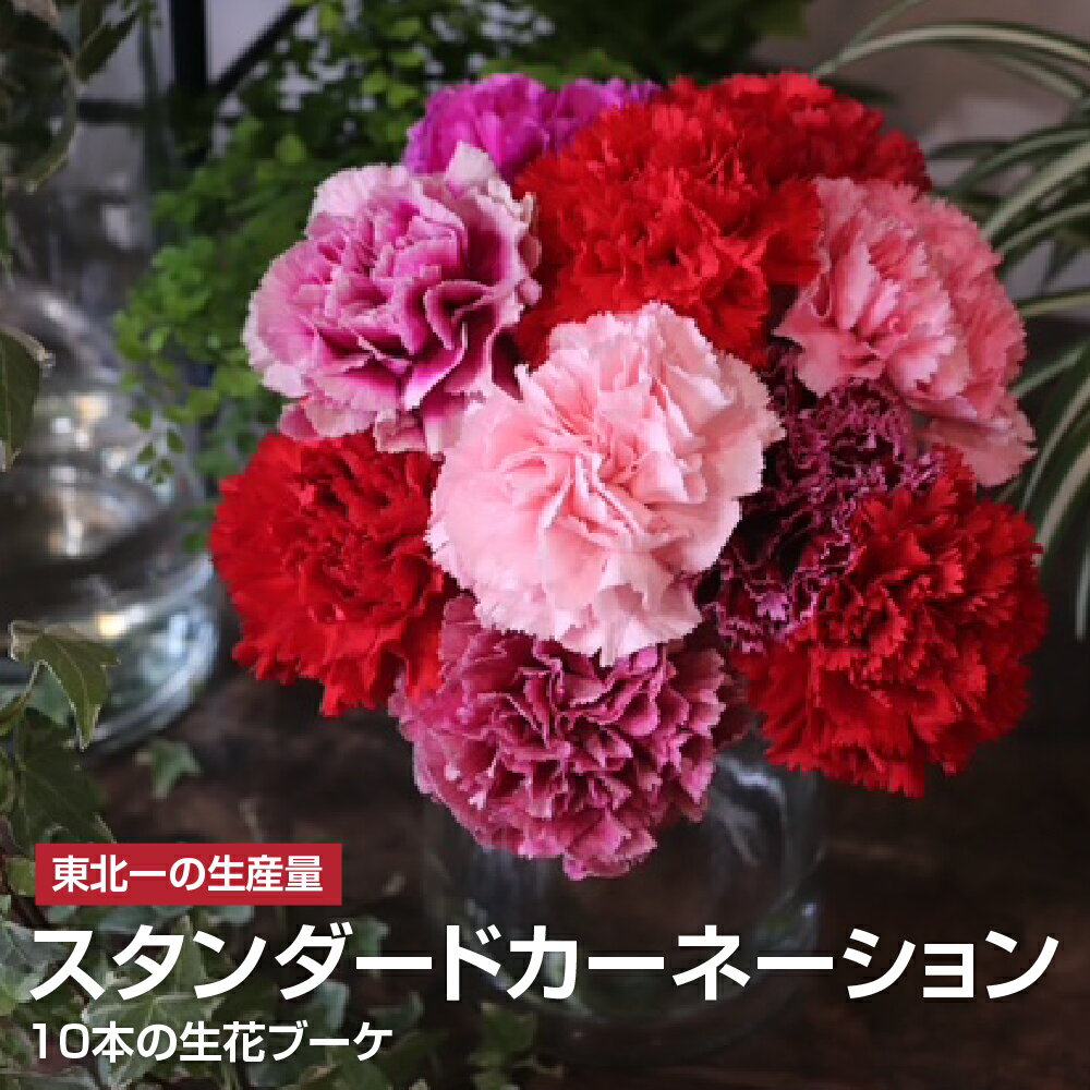 【ふるさと納税】【指定日受付※母の日ギフト】東北一の生産量！ 名取産カーネーションのフラワーブーケ（※5月3日（日）～12日（火）間の配送及びお届け日指定はお受けできません）