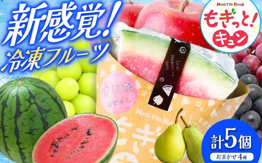 【種類おまかせ】新感覚冷凍フルーツ もぎっと！キュン 4種類、5個入りセット｜ 菓子 ふるさと納税 お菓子 おやつ 冷凍 フローズン フルーツ スイーツ 洋菓子 ご当地 長野県 松本市