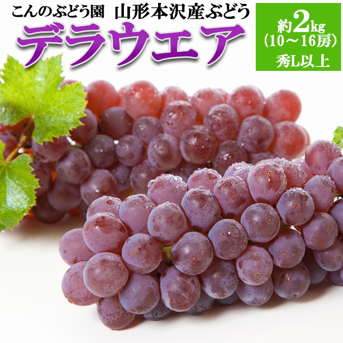 【こんのぶどう園】山形本沢産 ぶどう デラウェア 秀L以上 約2kg(10～16房) 【令和8年産先行予約】FS25-719