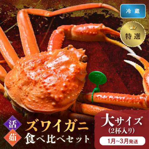 【蟹の匠 魚政】京丹後産 特撰 ズワイガニ 食べ比べセット〈活×茹〉大サイズ2杯入り　（2026年1月～3月発送）