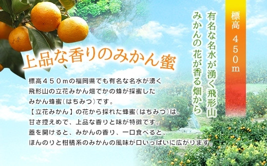 ＜国産＞かの蜂 みかん蜂蜜【600g】福岡県八女市で収獲した完熟みかん蜂蜜
