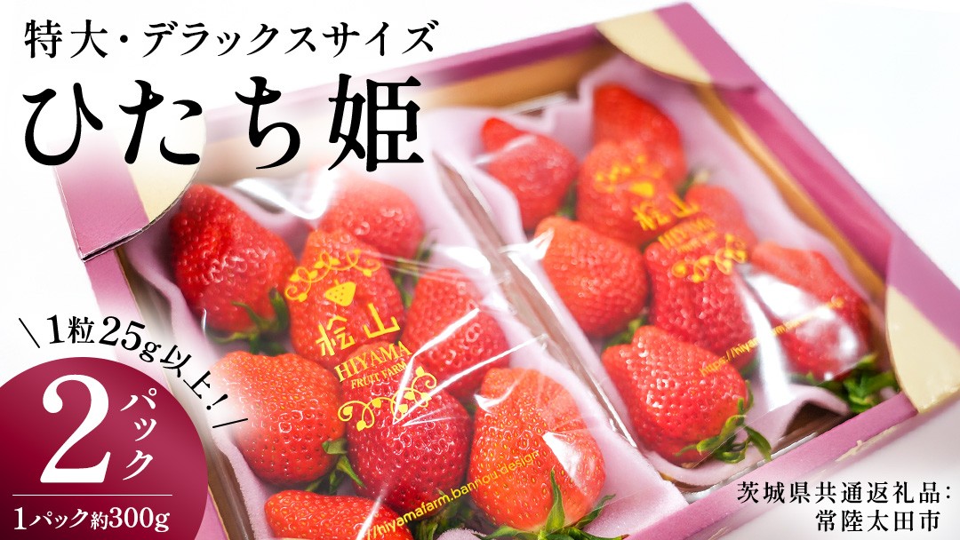 
                  ひたち姫 ( 約300g × 2パック ) 特大 ・ デラックスサイズ （茨城県共通返礼品／常陸太田市） 2026年1月から発送開始 フルーツ 苺 イチゴ いちご 新鮮 朝採れ 茨城県 桧山FRUITFARM [DY022sa]
                