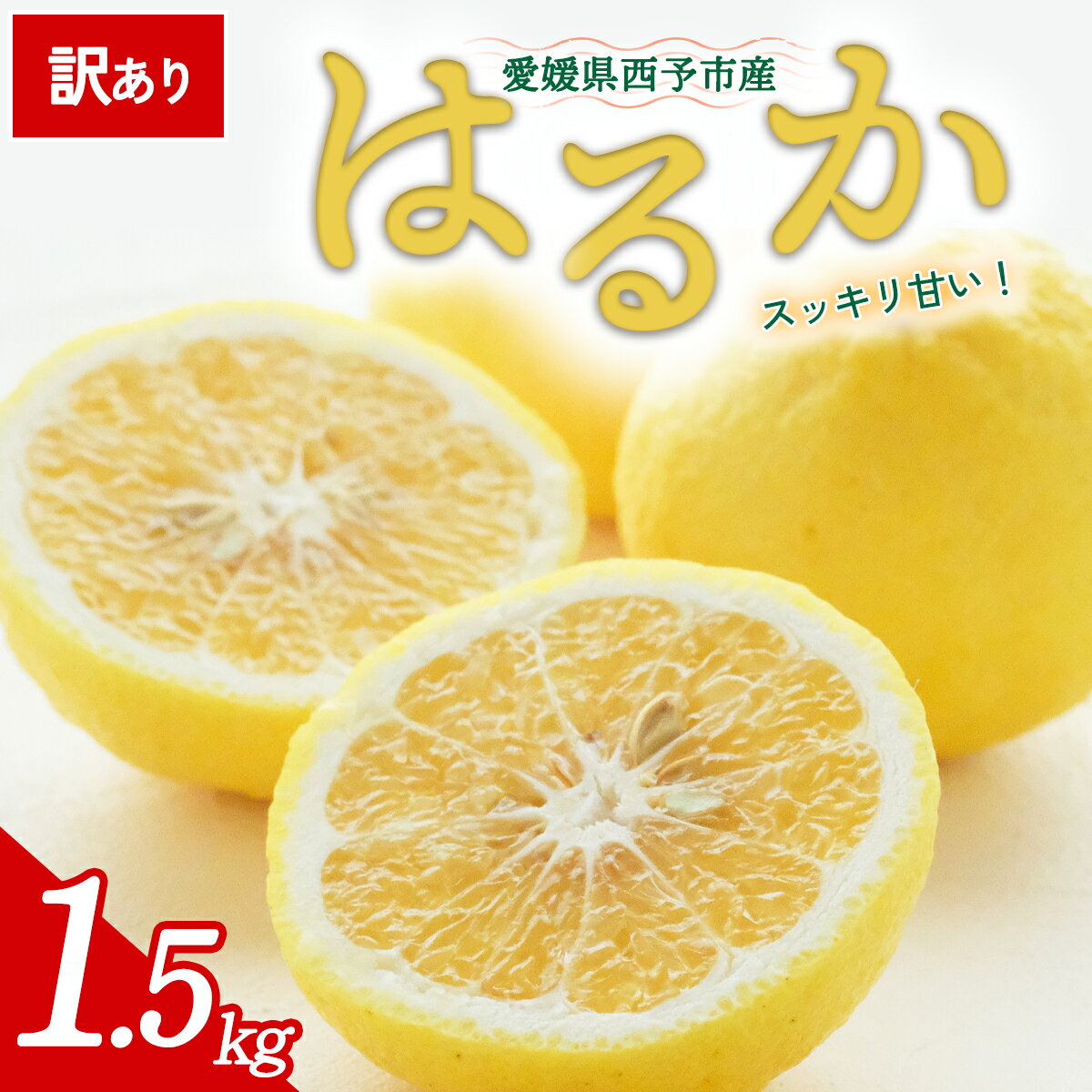 【ふるさと納税】【先行予約】＜訳あり 愛媛県産 はるか 合計約1.5kg＞ 『2027年2月以降順次出荷予定』上品 甘さ さっぱり 爽やか 酸味 ご家庭用 ご自宅 蜜柑 果肉 果物 柑橘 フルーツ オレンジ 国産 濃厚 果汁 産地直送 ミヤモトオレンジガーデン 愛媛県 西予市【常温】