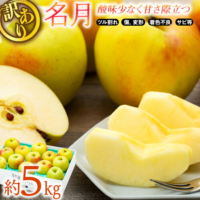 【ふるさと納税】訳あり りんご 5kg 2025年 令和7年度 発送分！ 名月 酸味が少なく甘さが際立つおいしいりんご 林檎 リンゴ 傷 キズ 果物 くだもの フルーツ 旬の果物 旬のフルーツ 家庭用 訳アリ 信州 長野 長野県 　お届け：2025年11月上旬～下旬ごろ