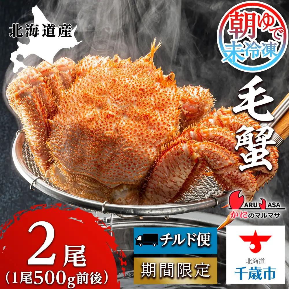 北海道産【朝ゆで】毛ガニ（500g前後）2尾 期間限定！＜かにのマルマサ＞ かに 毛がに カニ 千歳 北海道 海鮮