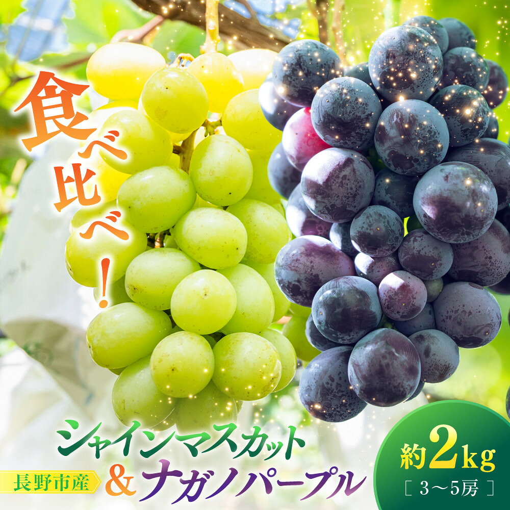 【ふるさと納税】シャインマスカット＆ナガノパープル2kg　3-5房 | シャインマスカット ぶどう フルーツ 果物 セット 食べ比べ 国産 人気 おすすめ ギフト プレゼント 送料無料 長野県 長野市 信州 信濃 ふるさと納税