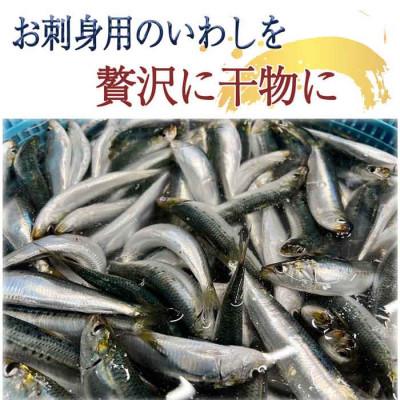 ふるさと納税 南知多町 三河湾・知多半島産 無添加いわし丸干し 5本入り×5袋(計25本) |  | 01