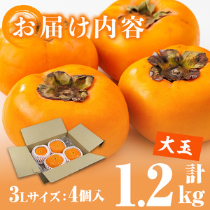 ＜先行予約受付中！2026年10月下旬～11月下旬に順次発送予定＞秋のフルーツの王様・ブランド柿 秋王 (約計1.2kg・3Lサイズ4玉入り) かき カキ フルーツ 果物 くだもの 福岡限定 オリジナ