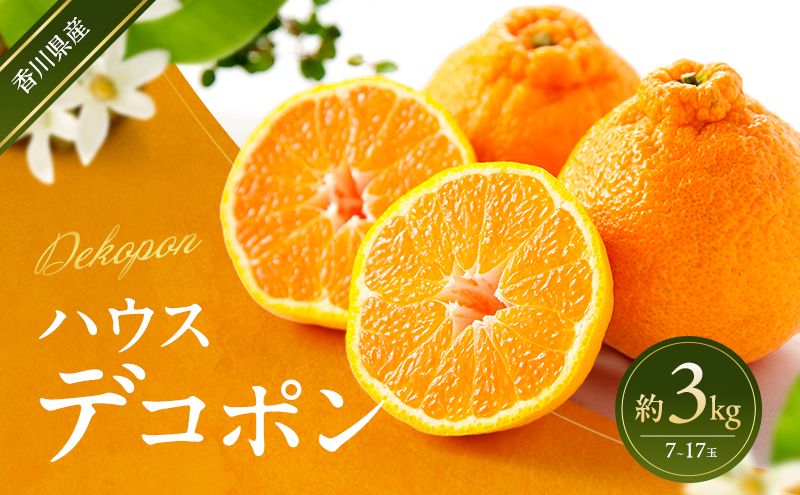 デコポン ハウス栽培 約3kg 7～17玉 箱買い お取り寄せ ギフト 薄皮ごと 皮がむきやすい 手で剥ける 旬の先取り でこぽん 柑橘 みかん 生食 おやつ デザート 旬の果物 柑橘類 蜜柑 ミカン フルーツ 果物 くだもの 果実 五色青果 香川 香川県 東かがわ市
