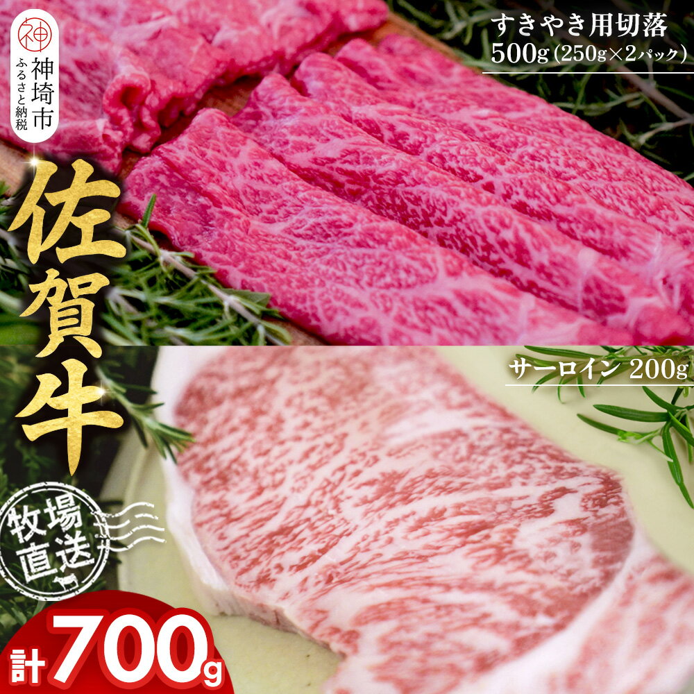 【ふるさと納税】佐賀牛 サーロインステーキ200g×1枚計200g すきやき用切落250g×2パック計500g【佐賀牛 サーロイン ステーキ すきやき 切落し 高級部位 赤身肉 霜降り 小分け】(H122126)