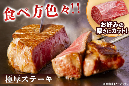 【3カ月定期便】佐賀牛 ヒレシャトーブリアンブロック 1kg(500g×2本) K030536