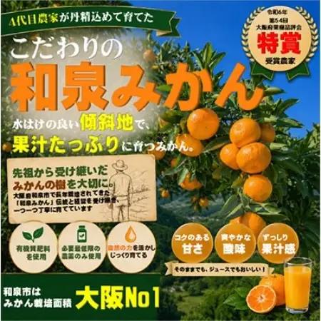 先行予約　大阪府和泉市産 宮川早生みかん5kg2ケース(1梱包) 11月中頃より発送【1672212】