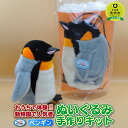 【ふるさと納税】おうちで体験!!動物園で人気者 ぬいぐるみ手作りキット ペンギン | 手作りキット 手芸 ヌイグルミ 人形 北海道ふるさと納税 美唄 ふるさと納税 北海道【配送不可地域：沖縄】