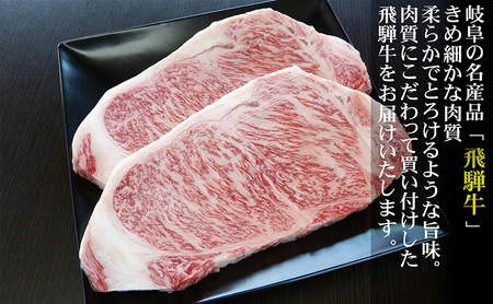 牛肉 飛騨牛 サーロイン ステーキ セット 600g（1枚 約300g×2枚） 黒毛和牛 A5 美味しい お肉 牛 肉 和牛 サーロインステーキ 【岐阜県瑞穂市】