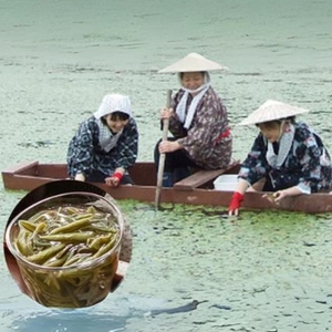 じゅんさい 鍋セット 6～7人前 白神地鶏 稲庭うどん 寄せ鍋 セット 野菜付き 地鶏 鶏鍋 白神特選　シャディハッピー