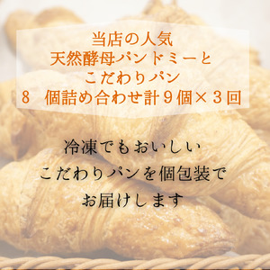 パン 定期便 天然酵母パンドミーとこだわりパン（３回）【R-14】