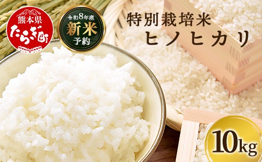 
                  【令和8年 新米予約】特別栽培米「ヒノヒカリ」10kg 精米 井上農園 10月より順次出荷 熊本県 お米 白 米 精米 ひのひかり 国産 114-0601
                