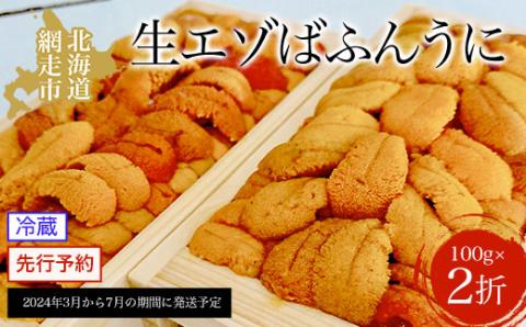 【先行予約】網走産 生エゾばふんうに 冷蔵100g×2折（2024年3月から7月の期間に発送予定） ABC009