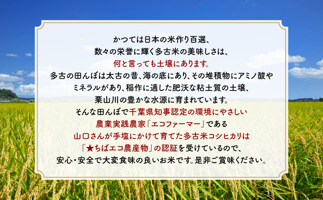 山口さんちの【令和7年産】多古米コシヒカリ(精米)5kg【配送不可地域：離島・沖縄県】 TAKF043