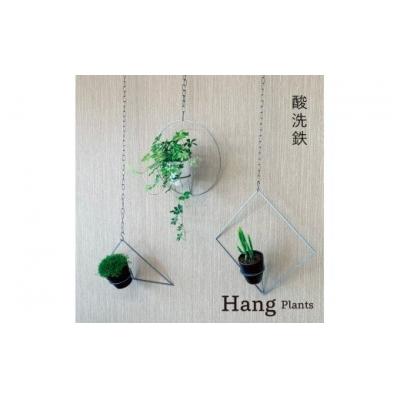 ふるさと納税 幸田町 GRAVIRoN Hang Plants シリーズ セット　 酸洗鉄(プランツハンガー)