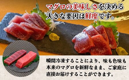 【本まぐろ・メバチ鮪】赤身 食べ比べ セット （各400g／計800g） | まぐろ 津久見市