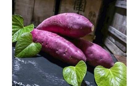 熟成さつまいも みーつ (ほくほく系) 2.7kg【数量限定】