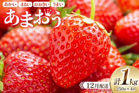 期間限定 いちご あまおう 250g×4パック【12月発送】 [増田青果 福岡県 宇美町 um40beq650001] 苺 イチゴ フルーツ 甘い あまい 季節限定
