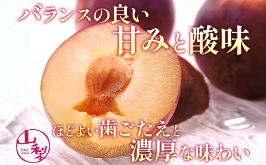 すもも 大石早生 6パック 約1.4kg スモモ プラム フルーツ 果物 産地直送 旬 果実 甘酸っぱい 爽やか 果汁 ジューシー こだわり 新鮮 人気 美味しい おやつ 贈答 ギフト 贈り物 村松農