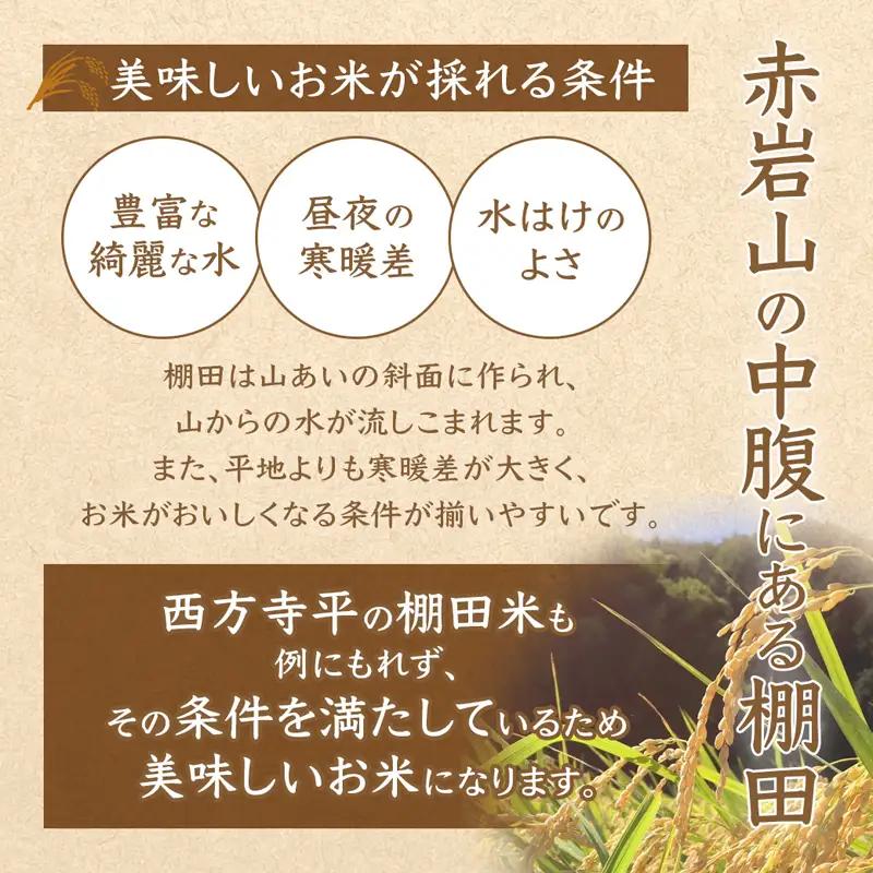 令和7年度産 無農薬 棚田米 白米 5kg 栽培期間中農薬不使用